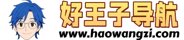 好王子导航-好网址导航-网址导航-网址大全-上网导航-网站导航